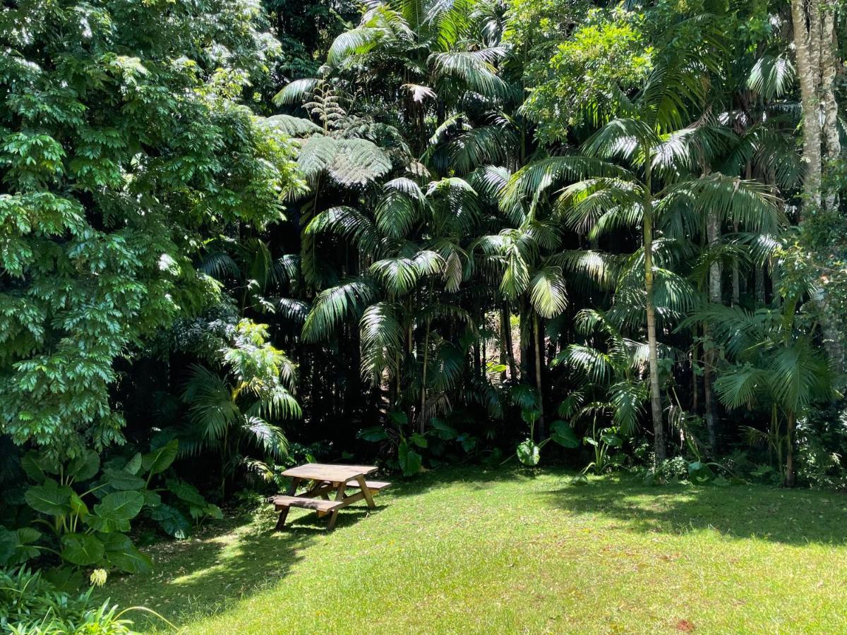 Romantic Cottage, Tamborine Mountain Extérieur photo