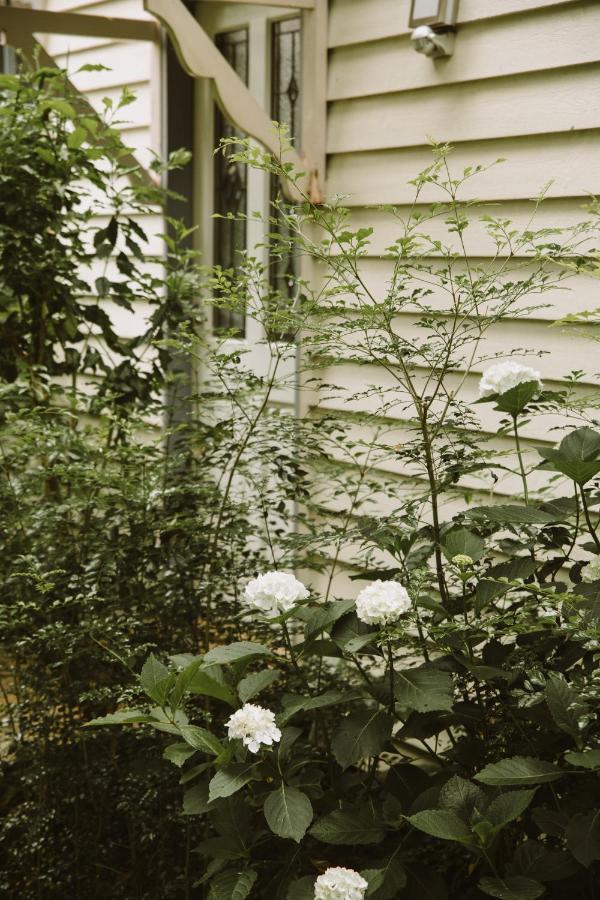 Romantic Cottage, Tamborine Mountain Extérieur photo