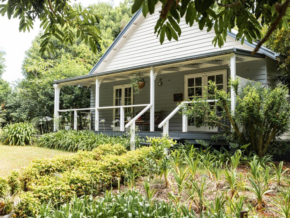 Romantic Cottage, Tamborine Mountain Extérieur photo